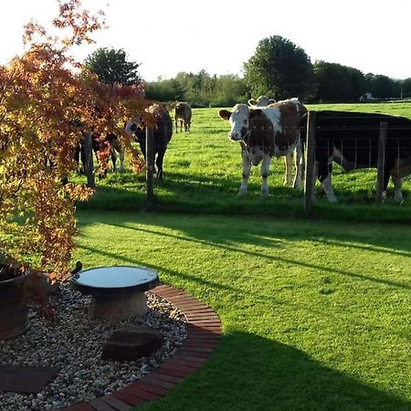 Courtyard Cottage Lockerbie Exterior foto