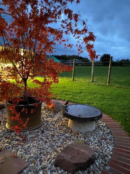 Courtyard Cottage Lockerbie Exterior foto